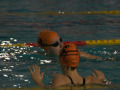 CriteriaRiccione202402_16