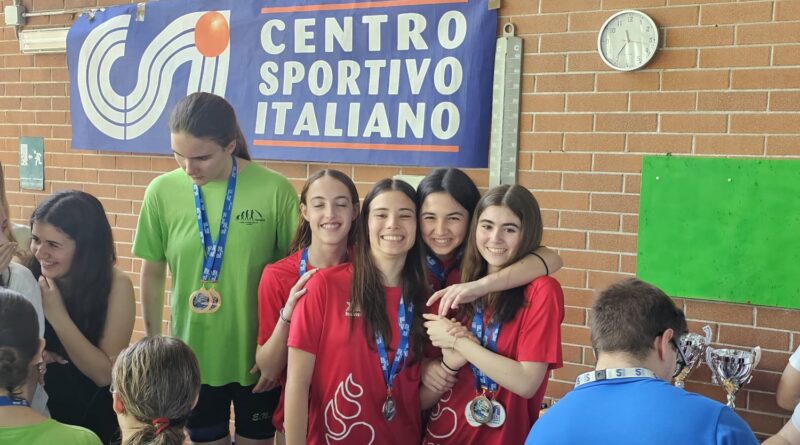 GaraCSI 20260517